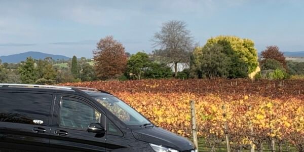 Private Melbourne Tours, Winery Tour